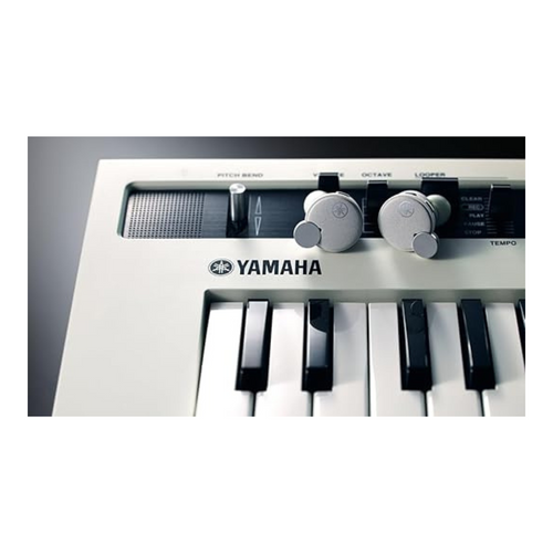 Yamaha Audio TW-E7B True Wireless in Ear Earbuds | True Sound, Bluetooth, aptX Adaptive, Active Noise Cancelling, Built-in Microphones for Clear Voice Calls, Ambient Sound and Listening Care | White