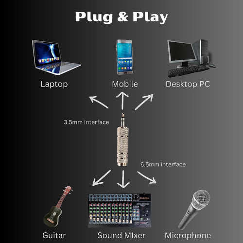 DaBeatz 3.5mm स्टीरियो पुरुष से 6.3 mm स्टीरियो महिला एडाप्टर कनवर्टर (सिल्वर) 